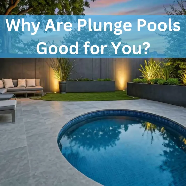 why are plunge pools good for you