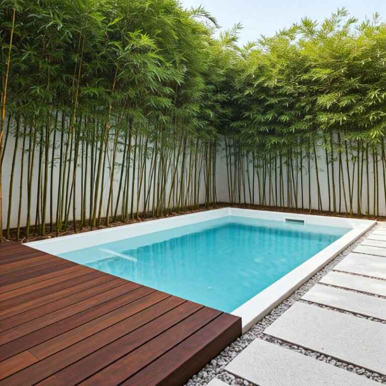 Rustic charm plunge pool in Sydney